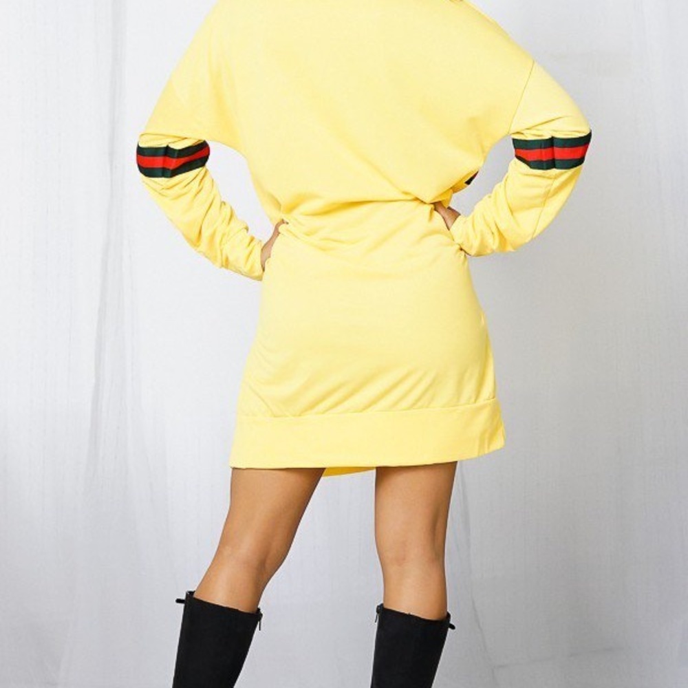 Long Sleeve casual dress with embroidered stripes